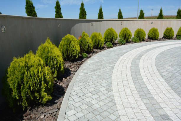 Best Local Driveway Pavers  in Crosby, TX